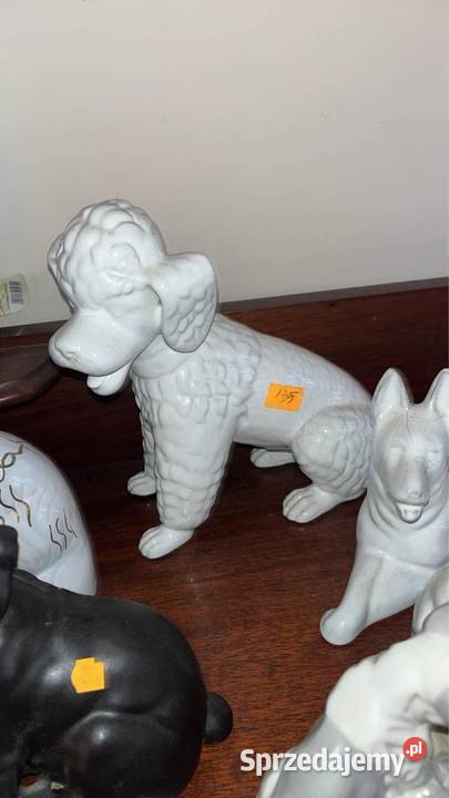 Piesek leżący biały Figurka porcelanowa Śliczny Gdańsk