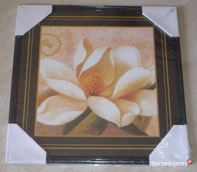 Obraz obrazek reprodukcja szkłem BIAŁY KWIAT 20 wielokolorowy Kraków