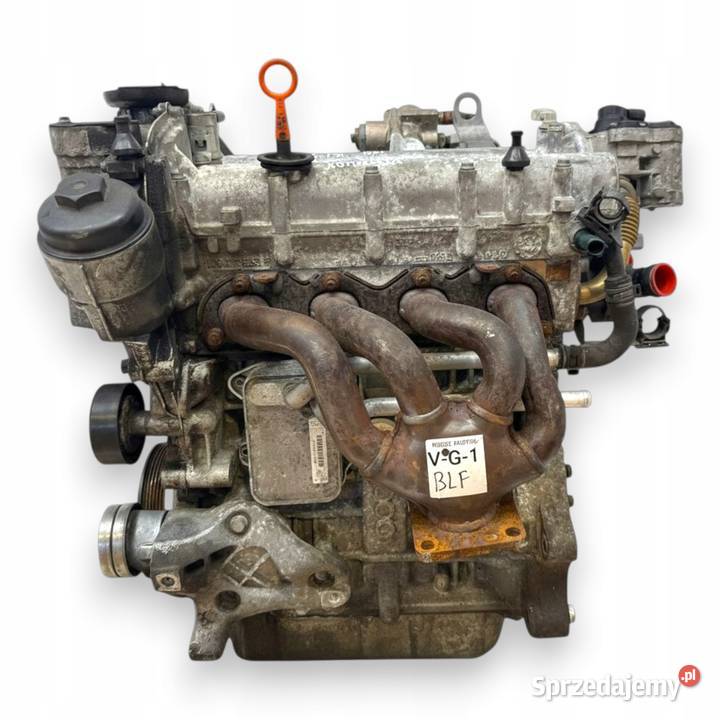 SILNIK BLF Audi A3 II 8P Skoda Octavia II 16 FSI Chełm