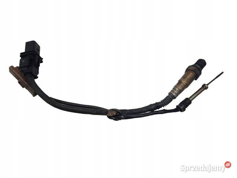 SONDA LAMBDA CZUJNIK TEMPERATURY KOMPLET Citroen świętokrzyskie