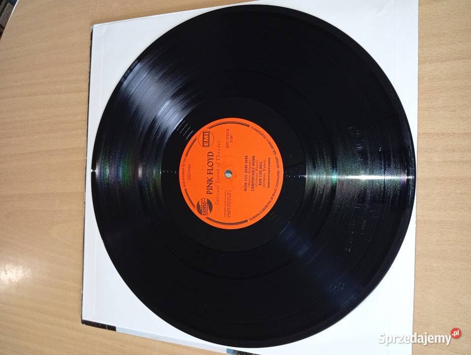 Pink Floyd Delicate Sound Of Thunder Hungary Kultura i Rozrywka Rumia sprzedam