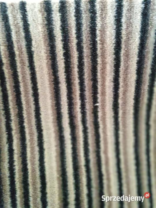 Szwajcarska wykładzina hotelowa szer 5m podkarpackie