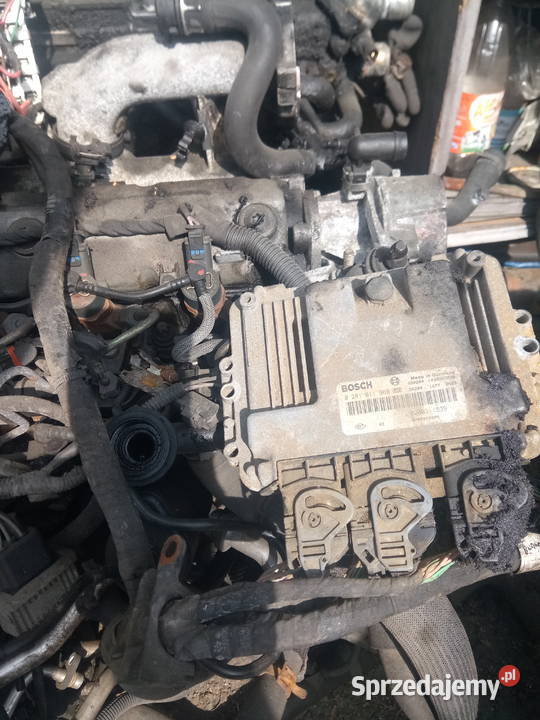 Silnik RENAULT 19 Laguna Scenik na części Myszków