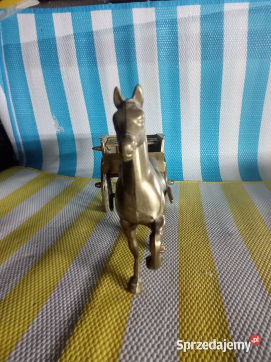 Konia sprzedam Borówno