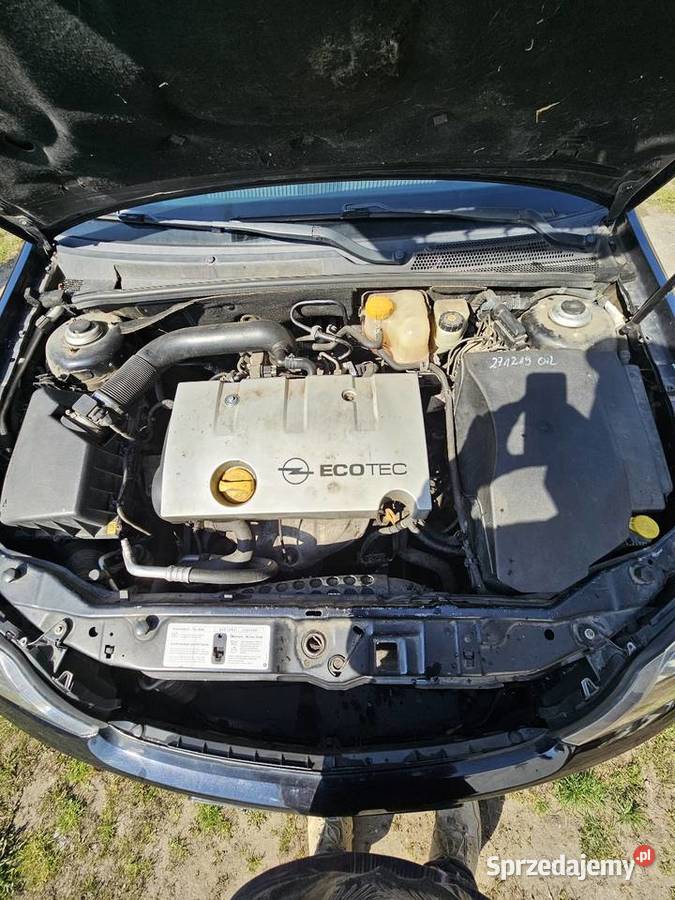 Opel vectra Nogat