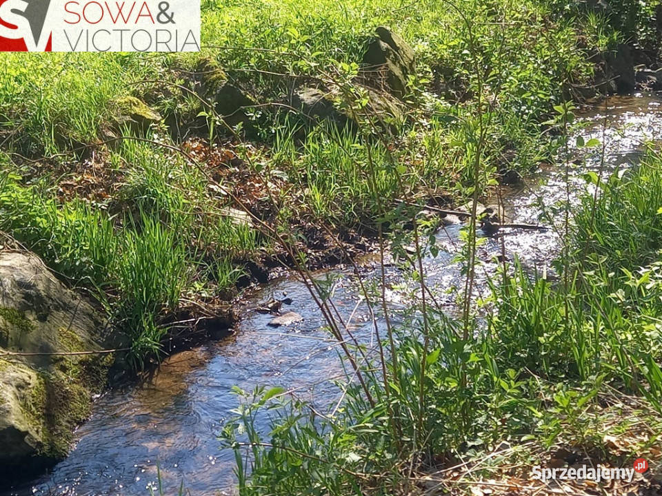 Działka jeziora z lasem wydane WZ dolnośląskie sprzedam
