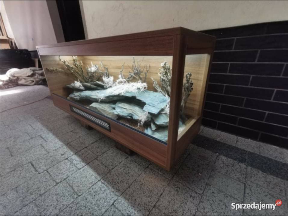 Terrarium hodowlane agamy brodatej gekona Starogard Gdański