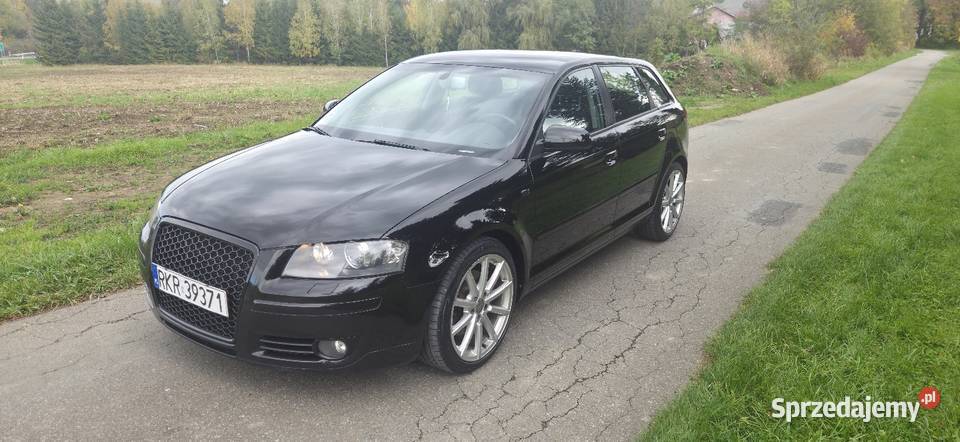2007 Audi A3 20TDI 170 4x4 Quattro Bixenon Krosno