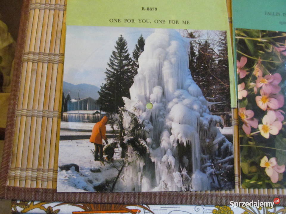 Tina Carles i La Bionda 2 pocztówek dziwiękowych lubelskie sprzedam