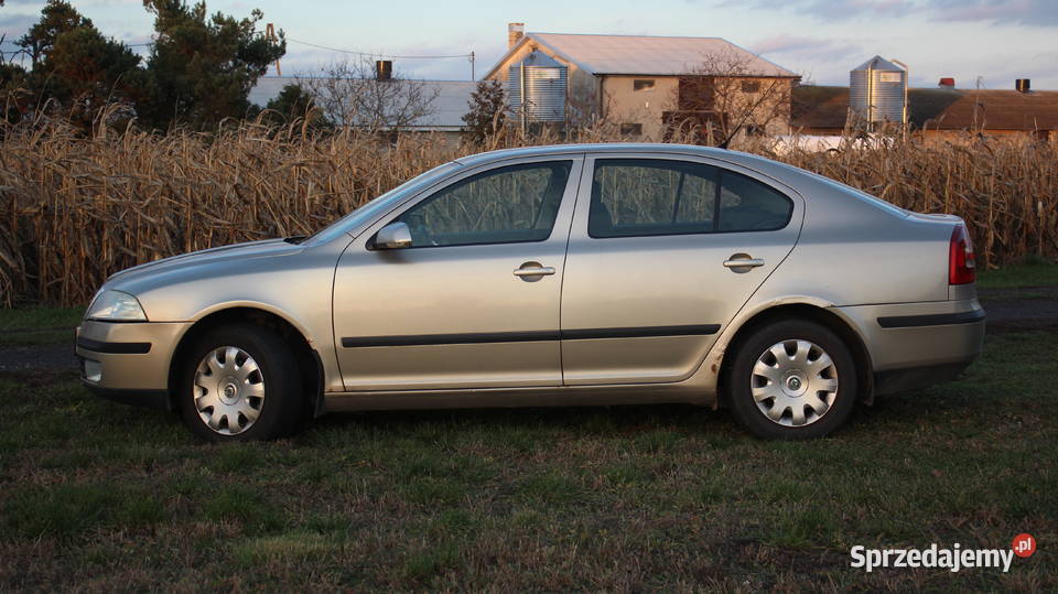 Skoda Octavia II 19 TDI klima alu nieuszkodzony Międzyrzec Podlaski