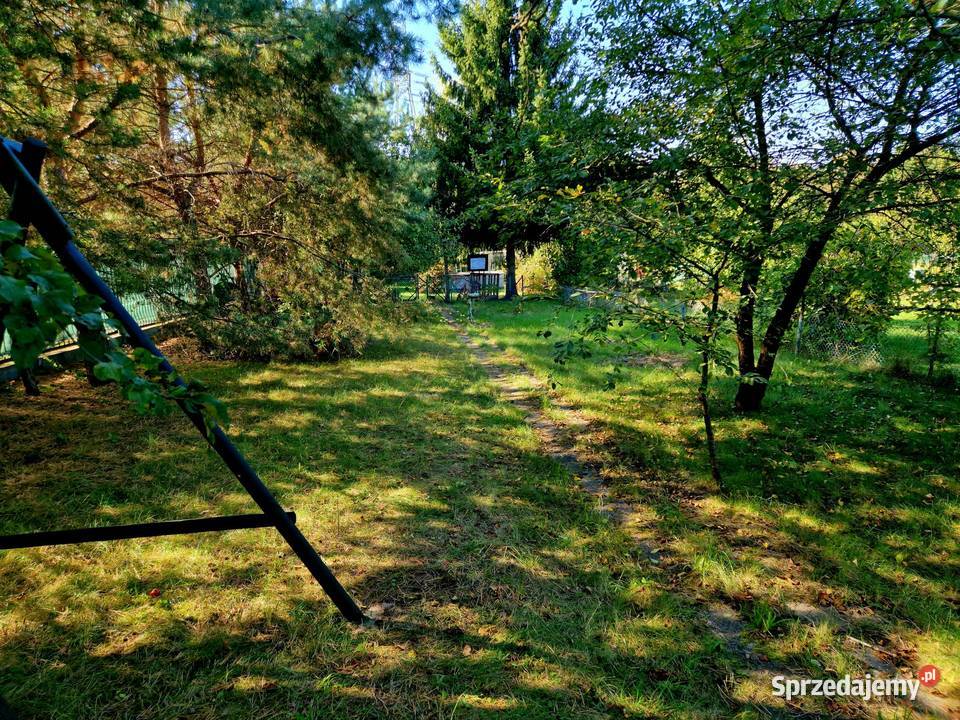 Ogródek Działkowy ROD Bajki kolonia Rozmaryn Sprzedaż sprzedam
