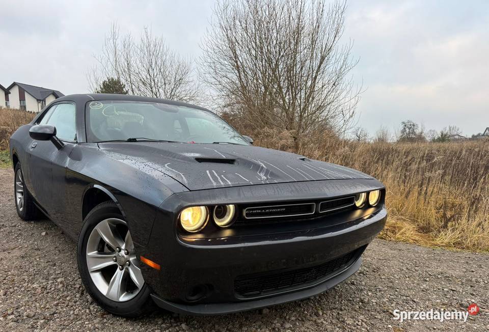 DODGE Challenger 36 V6 2017 USA 201 000 oryg nieuszkodzony Kraków