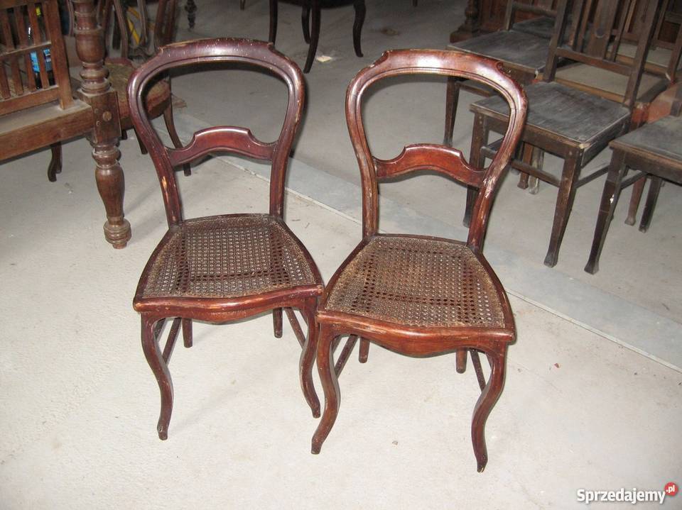 Dwa krzesła ludwikowskie Antyki 0297 pomorskie Nieżywięć