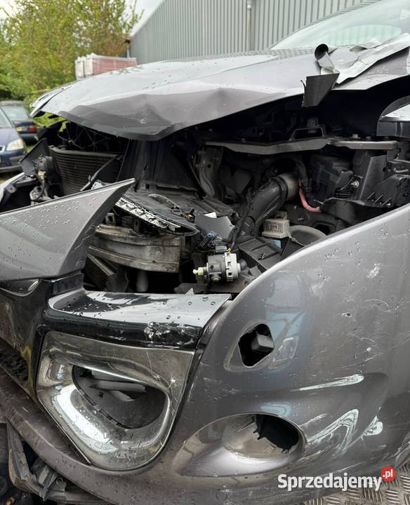 Sprzedam Renault Megane Megane wielkopolskie Pleszew