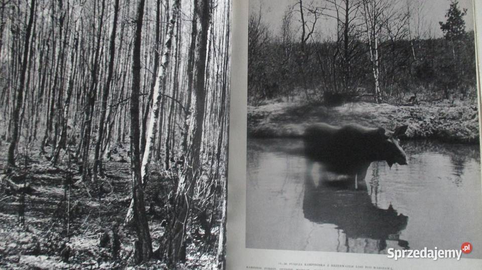 Burzliwy wiek XX zmieniał się świat19002000 Łódź