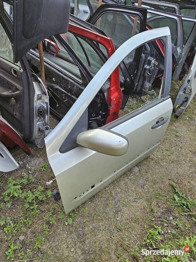 Drzwi laguna 1 lewy przód Łagów sprzedam