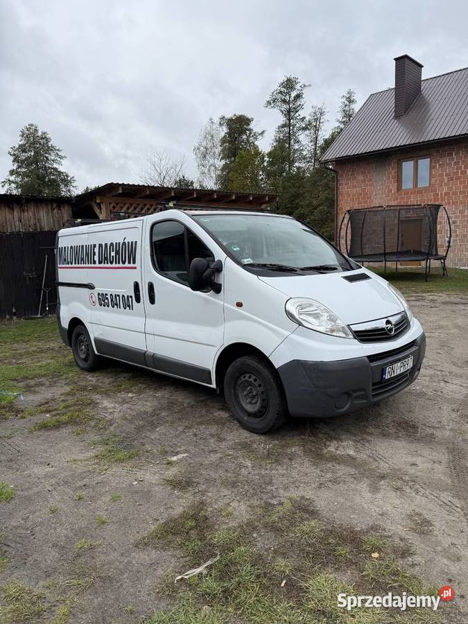 Opel Vivaro 2010