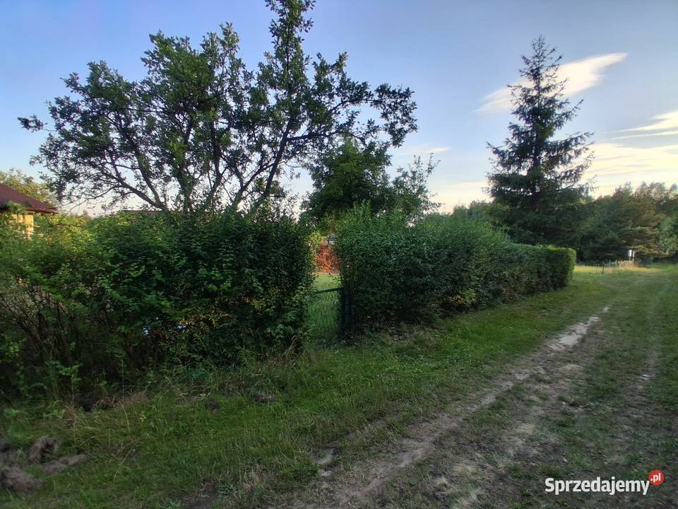 Działka ROD Miedzianka Polkowice sprzedam
