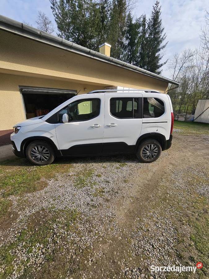 Peugeot Rifter 2019 15 130
