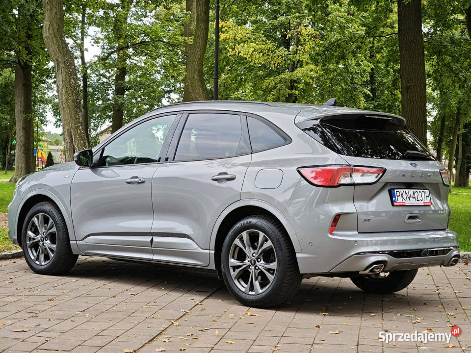 Ford Kuga III 2019
