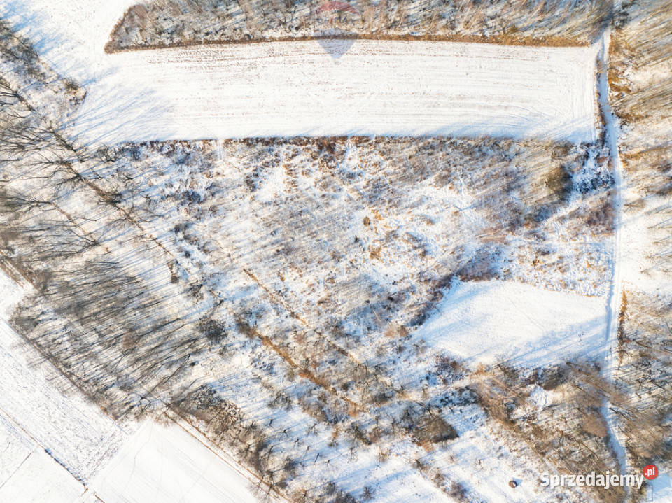 Rolna w urokliwej okolicy 50m