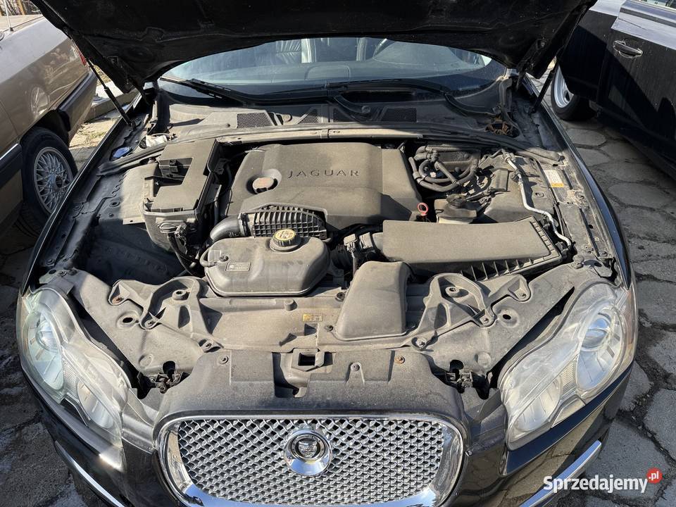 Jaguar XF Jaguar XF 27 D uszkodzony silnik XF Jaguar Ostróda sprzedam