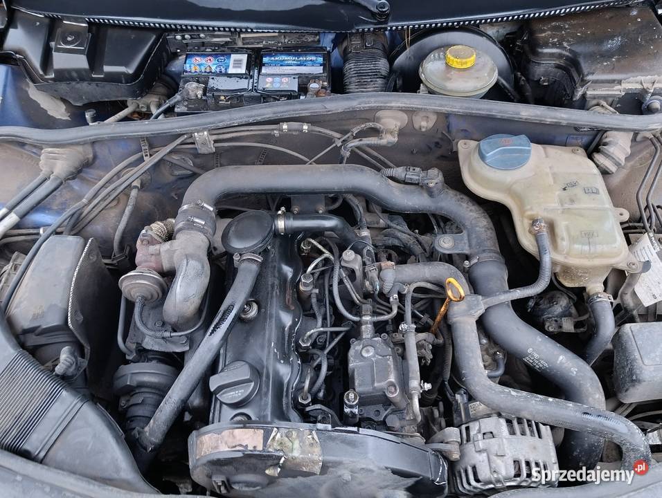 Pastuch TDI opłaty długo elektryczne szyby Śrem