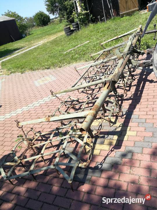 Brony 5 polowe Chlewiska