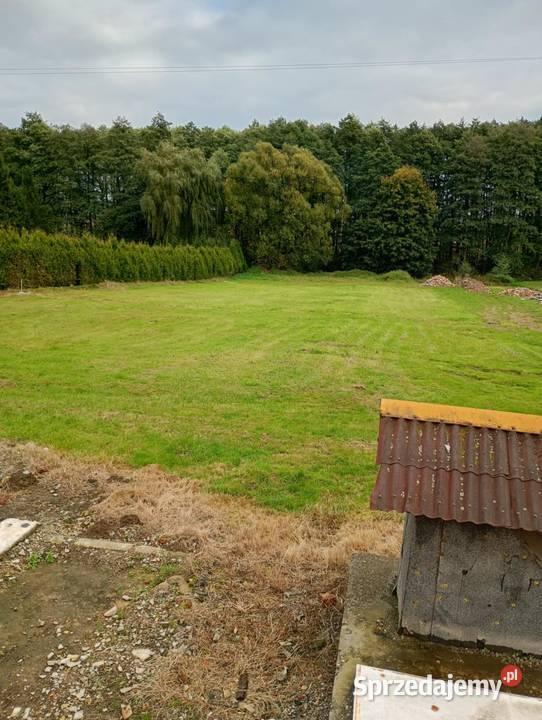 DZIAŁKA BUDOWLANA 1037m2 Wszystkie MEDIA z SUPER Golasowice