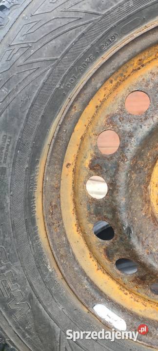 Nokian Zima 2157016 2019 Suchedniów sprzedam