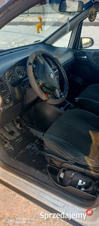 Fajna Zafirka 20 Stromiec sprzedam