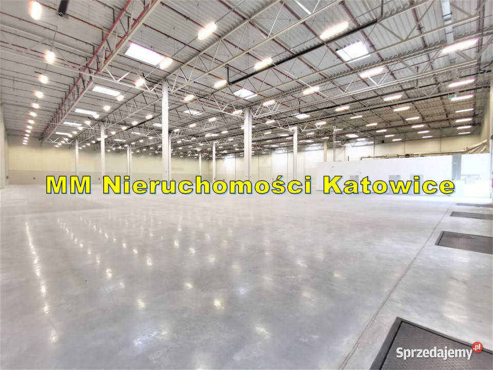 Magazyn do wynajęcia Katowice A4 3 bramy 0 4