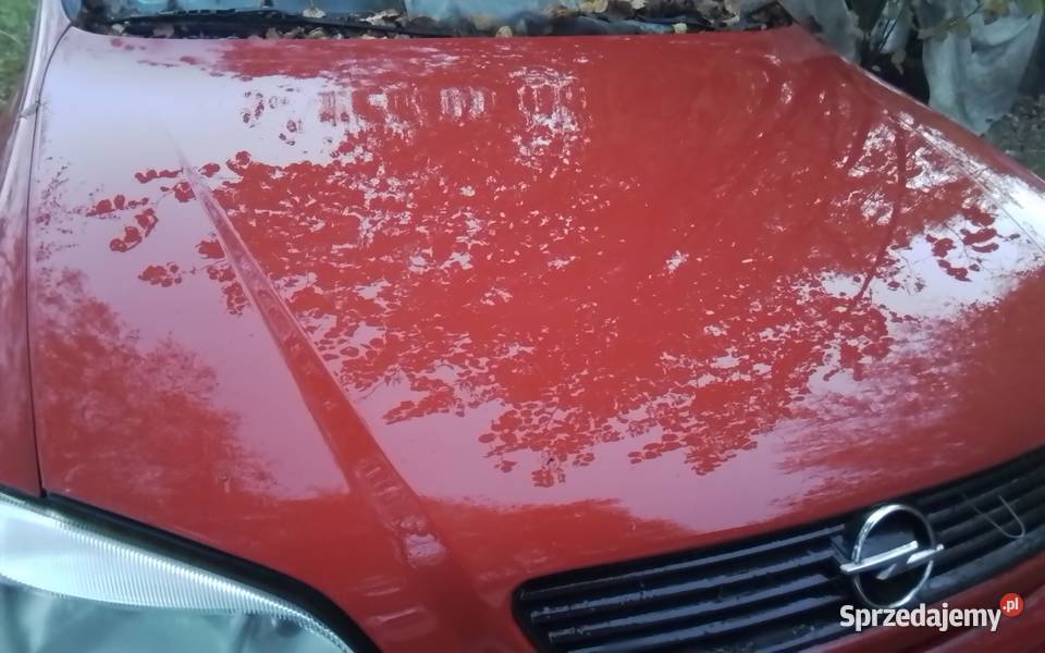 Maska przód przednia Opel Astra G Y547 inne Tuszyn