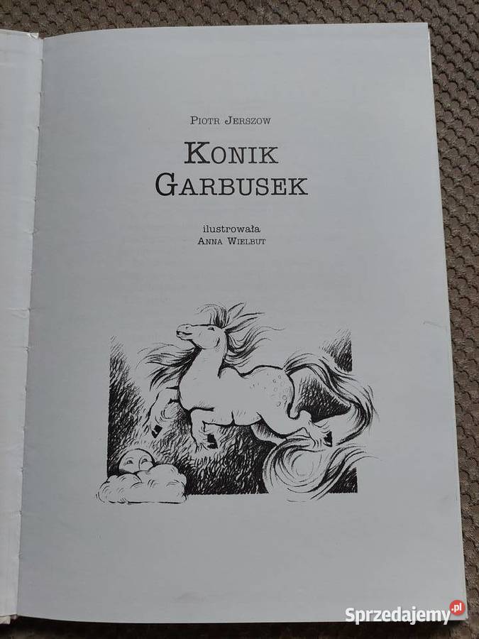 Konik Garbusek Piotr Jerszow Kraków