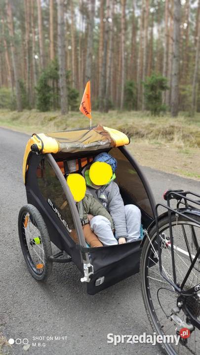 Przyczepka rowerowa Burley Bee Double kujawsko-pomorskie Łabiszyn