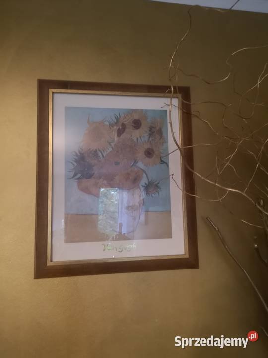 Obrazy że zdjęć 10 do 40 sztukę dolnośląskie Wrocław