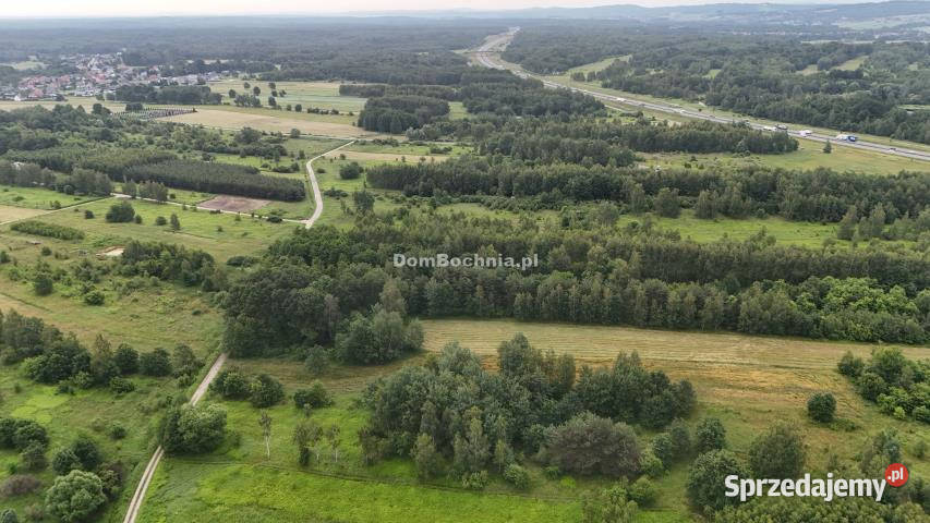 Grunt 5141m2 Borek Sprzedaż