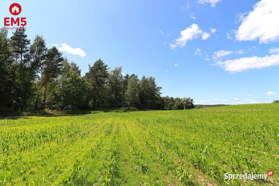 sprzedaży gruntu 1100 metrów Rożyńsk Wielki 1100m2