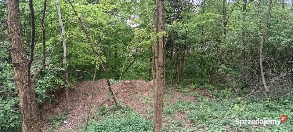 Sprzedam działkę rekreacyjną częściowo zalesioną Błażkowa sprzedam