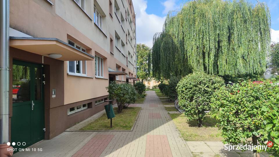 mieszkanie kawalerka Liczba pokoi 1 Pabianice