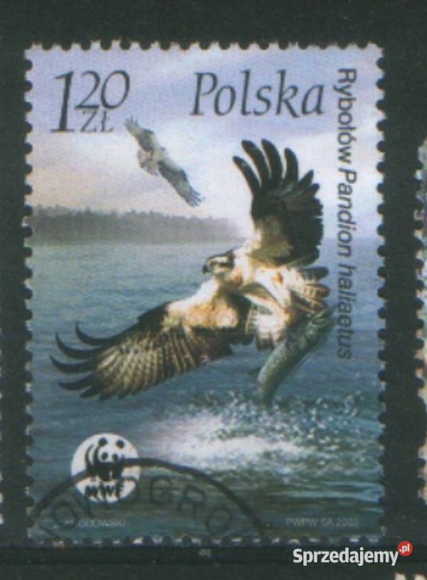 Zn Fi 389346203239 kas 2003 Gliwice