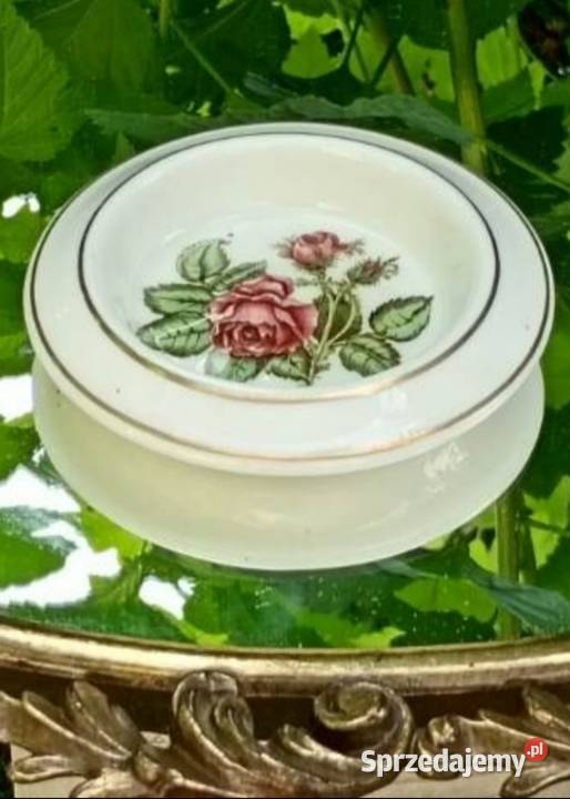 Wedgwood of Etruria Barlaston Moss Rose paterka łódzkie