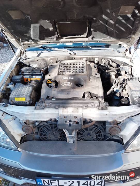 Hyundai Terracan 29 CRDi 2002 r pancerna aluminiowe felgi warmińsko-mazurskie Ełk