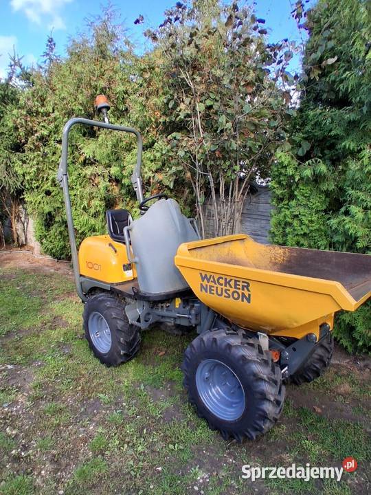 Wozidło ładowarka Wacker Neuson 1001 z 2016 Roku Tokarnia