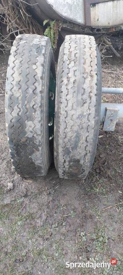 Os mocna podkarpackie Bolestraszyce