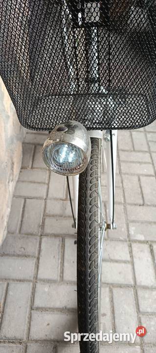 Rower damka Bełchatów