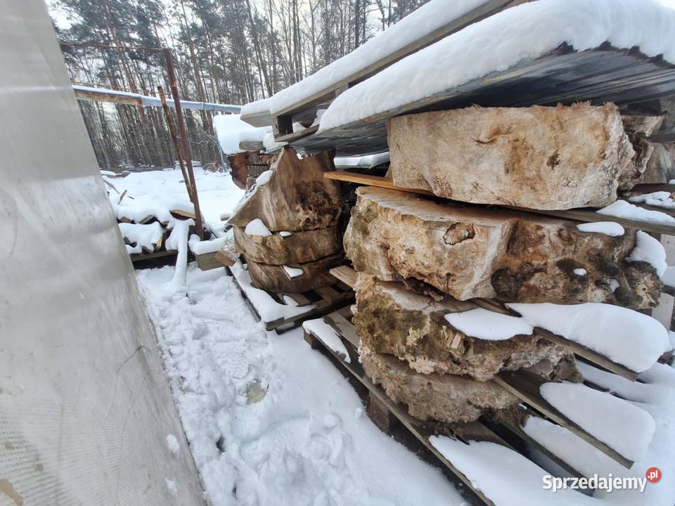 Plastry Foszty Drewno pod żywicę Dzikowiec