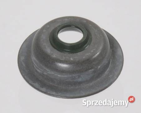Uszczelniacz zaworu 12209ZH8003 małopolskie Kamionna