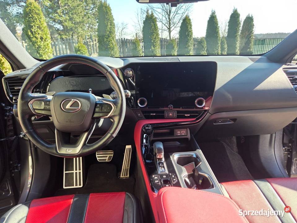 Lexus nx450h salon polska NX małopolskie Chełmek