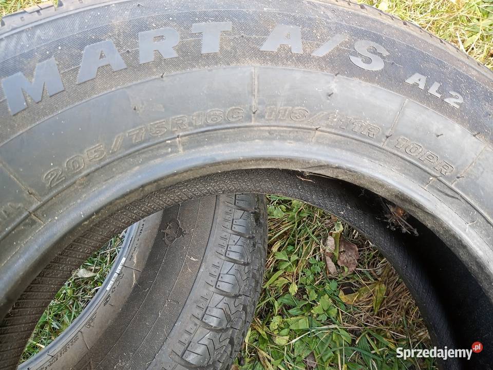 2x Opony całoroczne wielosezonowe Maxxis Luzino